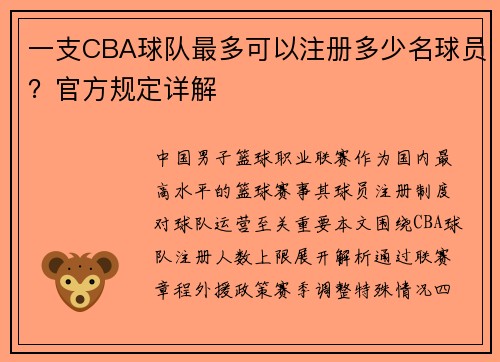 一支CBA球队最多可以注册多少名球员？官方规定详解
